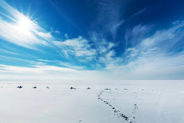 Winterlandschap. De Ob., West-Siberië — Stockfoto