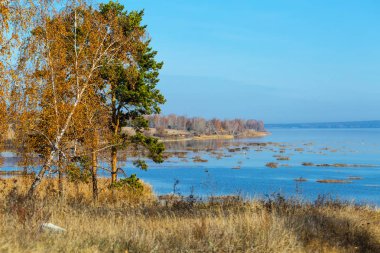 Nehir manzarası. Ob, Batı Sibirya, Rusya