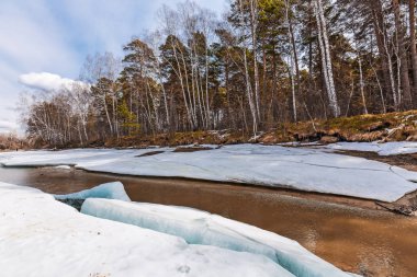 Bahar manzarası. Sibirya
