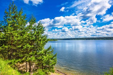 Yaz manzarası. Berdsk, Sibirya