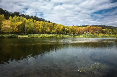 Nehirde sonbahar manzarası. Batı Sibirya