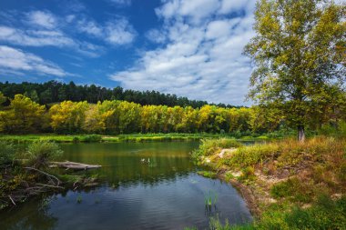 Nehirde sonbahar manzarası. Batı Sibirya