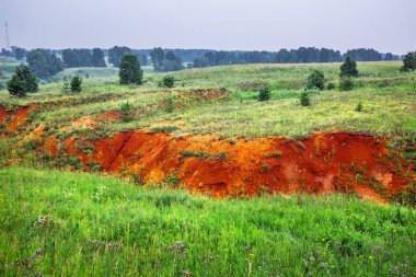 Kırmızı kil. Batı Sibirya