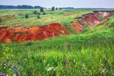 Kırmızı kil. Batı Sibirya