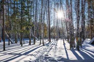 Kış manzarası. Batı Sibirya, Rusya