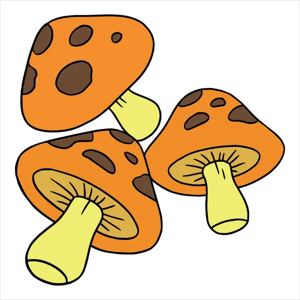 Vector illustration of Cartoon Mushroom Color on the white background — Stock Vector