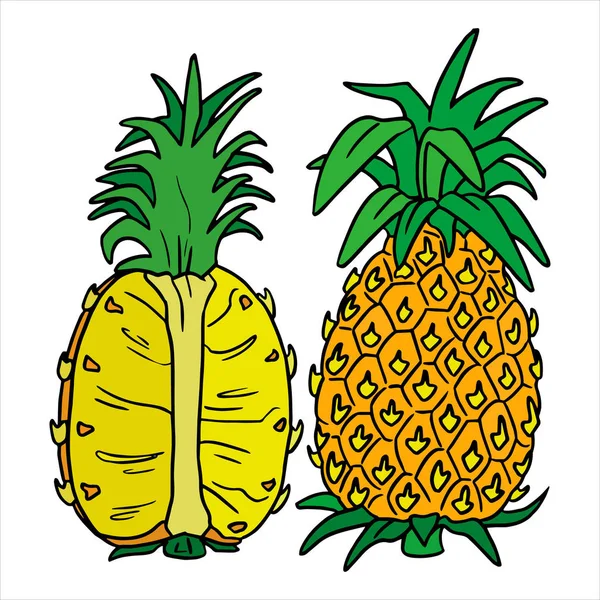 Ilustração vetorial de Cartoon Pine Apple Color no fundo branco — Vetor de Stock