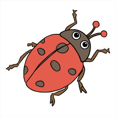 Beyaz arka plan üzerinde çizgi hanım kuş renk vektör çizim