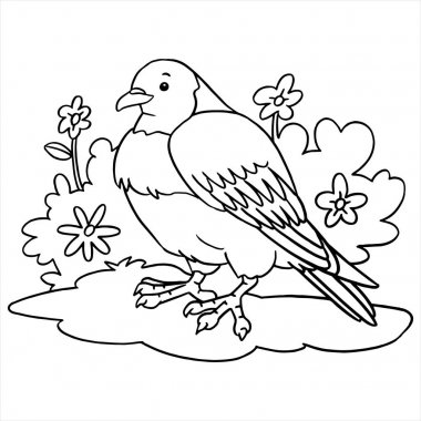 Vektör çizim karikatür güvercin beyaz zemin üzerine