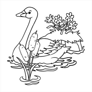 Beyaz arka plan üzerinde çizgi film kuğu vektör çizim