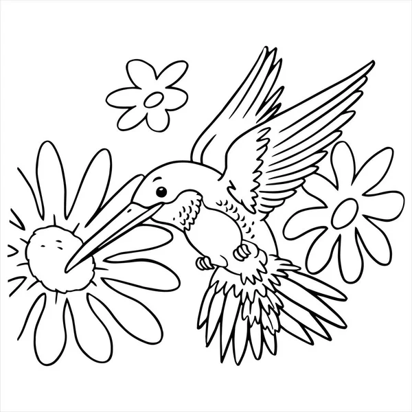 Векторні ілюстрації птахів наспівуючи мультфільм на білому тлі — стоковий вектор