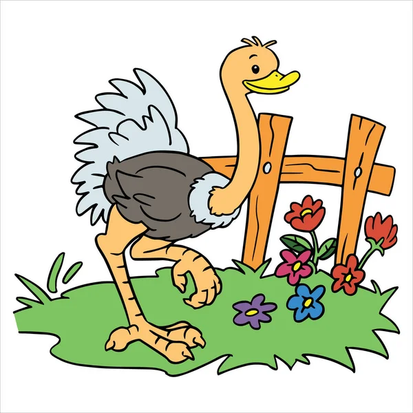 Ilustração vetorial de cor de avestruz de desenhos animados no fundo branco — Vetor de Stock
