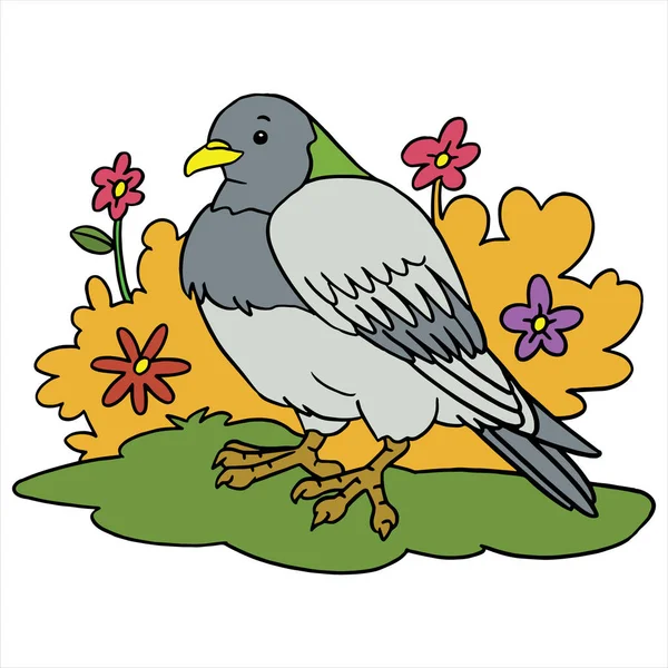 Ilustração vetorial de cor de pombo dos desenhos animados no fundo branco —  Vetores de Stock