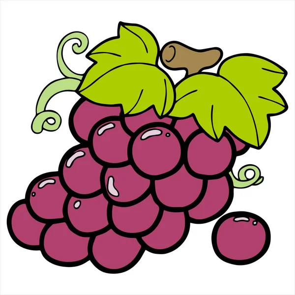 Vektör çizim karikatür üzüm rengi beyaz zemin üzerine