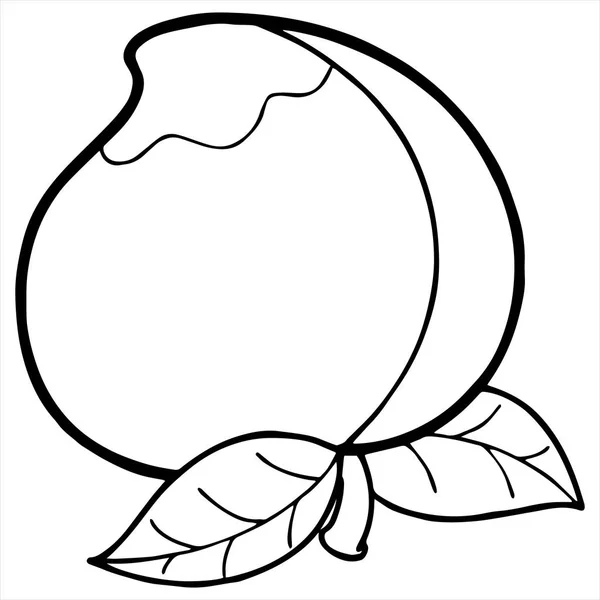 白い背景の漫画 Peache のベクトル図 — ストックベクタ