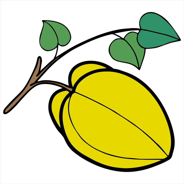 Vector Illustration Cartoon Starfruit Color White Background — Stock Vector