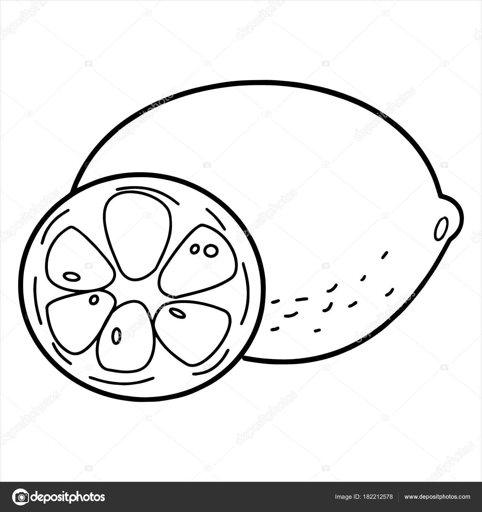 cartoon buch clip art black and white