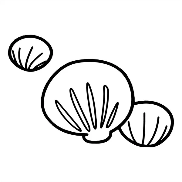 子供のための白い背景の上のかわいい漫画ホタテ プリント シャツ カラー ブック 子供のため面白いとフレンドリーな文字 — ストックベクタ
