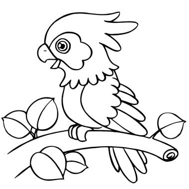 Sevimli çizgi papağan çocuk için beyaz arka plan üzerinde yazdırır, t-shirt, renkli kitap, çocuklar için eğlenceli ve samimi karakter