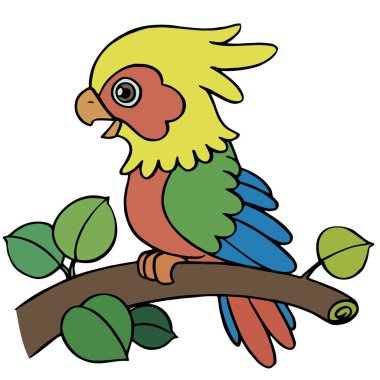 Sevimli çizgi papağan çocuk için beyaz arka plan üzerinde yazdırır, t-shirt, renkli kitap, çocuklar için eğlenceli ve samimi karakter