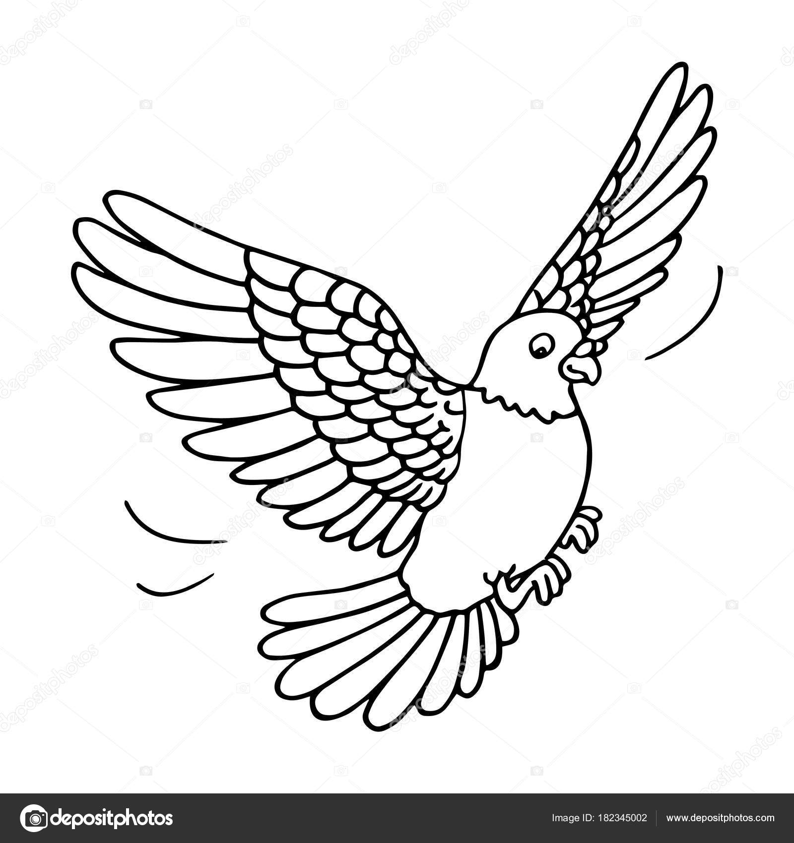 Cartoon Pigeon Book Cute Cartoon Pigeon White Background Childrens Prints Shirt Color Book Stock Vector C Foxynguyen 182345002
