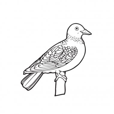 Sevimli çizgi kuş çocuk için beyaz arka plan üzerinde yazdırır, t-shirt, renkli kitap, çocuklar için eğlenceli ve samimi karakter