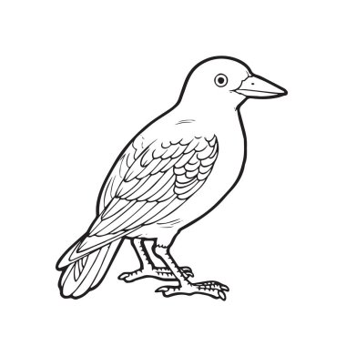 Sevimli çizgi kuş çocuk için beyaz arka plan üzerinde yazdırır, t-shirt, renkli kitap, çocuklar için eğlenceli ve samimi karakter