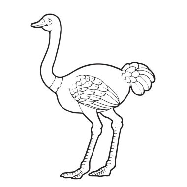 Sevimli çizgi devekuşu çocuk için beyaz arka plan üzerinde yazdırır, t-shirt, renkli kitap, çocuklar için eğlenceli ve samimi karakter