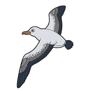 Sevimli çizgi fırtına kuş çocuk için beyaz arka plan üzerinde yazdırır, t-shirt, renkli kitap, çocuklar için eğlenceli ve samimi karakter