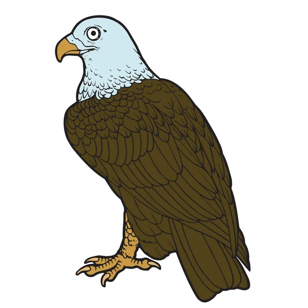 Aigle Dessin Animé Mignon Sur Fond Blanc Pour Les Impressions — Image vectorielle