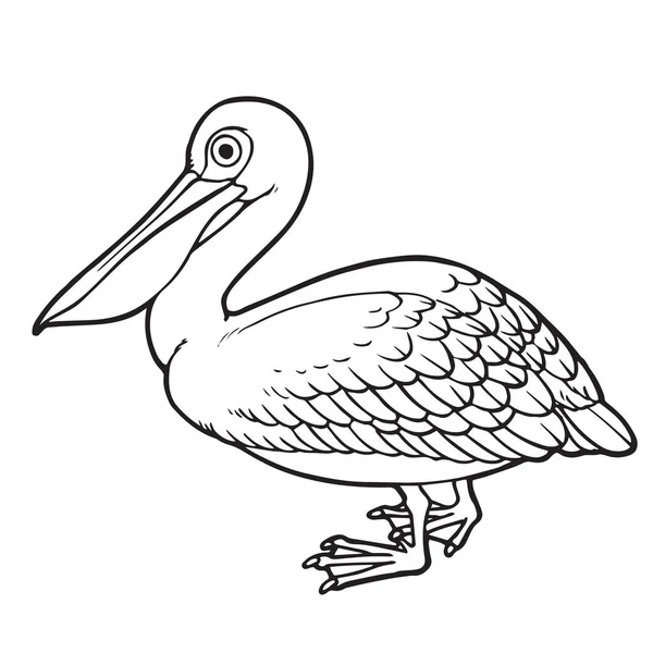Niedlichen Cartoon Pelikan Auf Weißem Hintergrund Für Kinder Drucke Shirt — Stockvektor