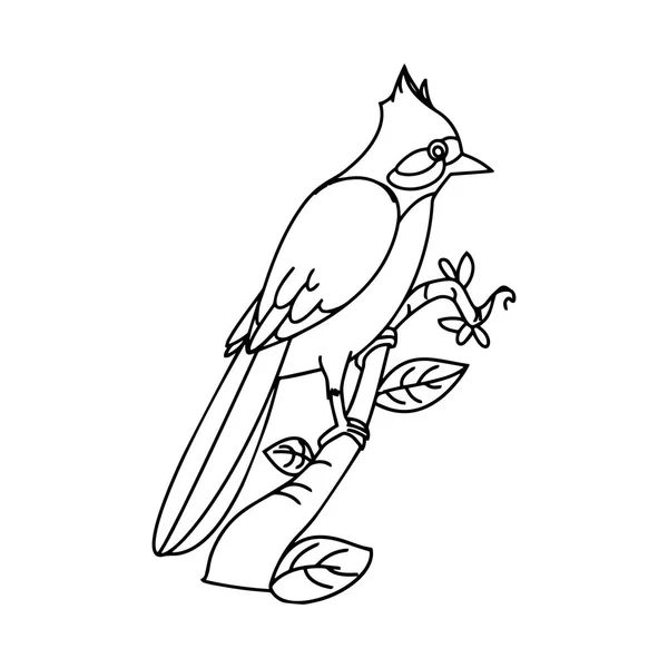 Oiseau Dessin Animé Mignon Sur Fond Blanc Pour Les Imprimés — Image vectorielle