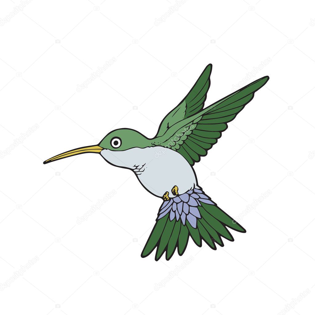 Cute cartoon humming bird on white background for childrens prints, t-shirt, color book, funny and friendly character for kids