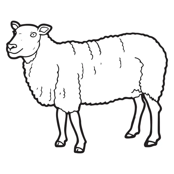 Mignon Mouton Dessin Animé Sur Fond Blanc Pour Les Impressions — Image vectorielle