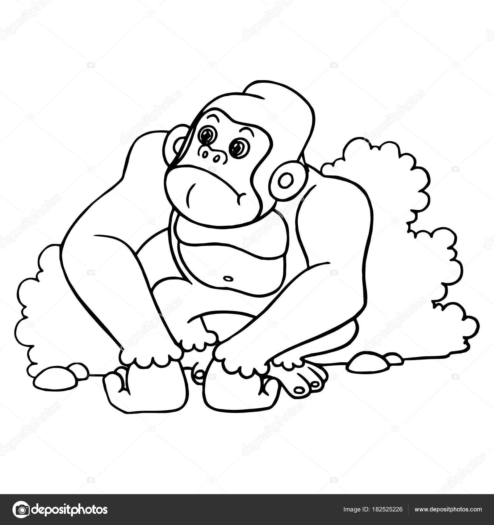 Cute Cartoon Gorilla White Background Childrens Prints Shirt Color Book  Stock Vector Image by ©Foxynguyen #182525226