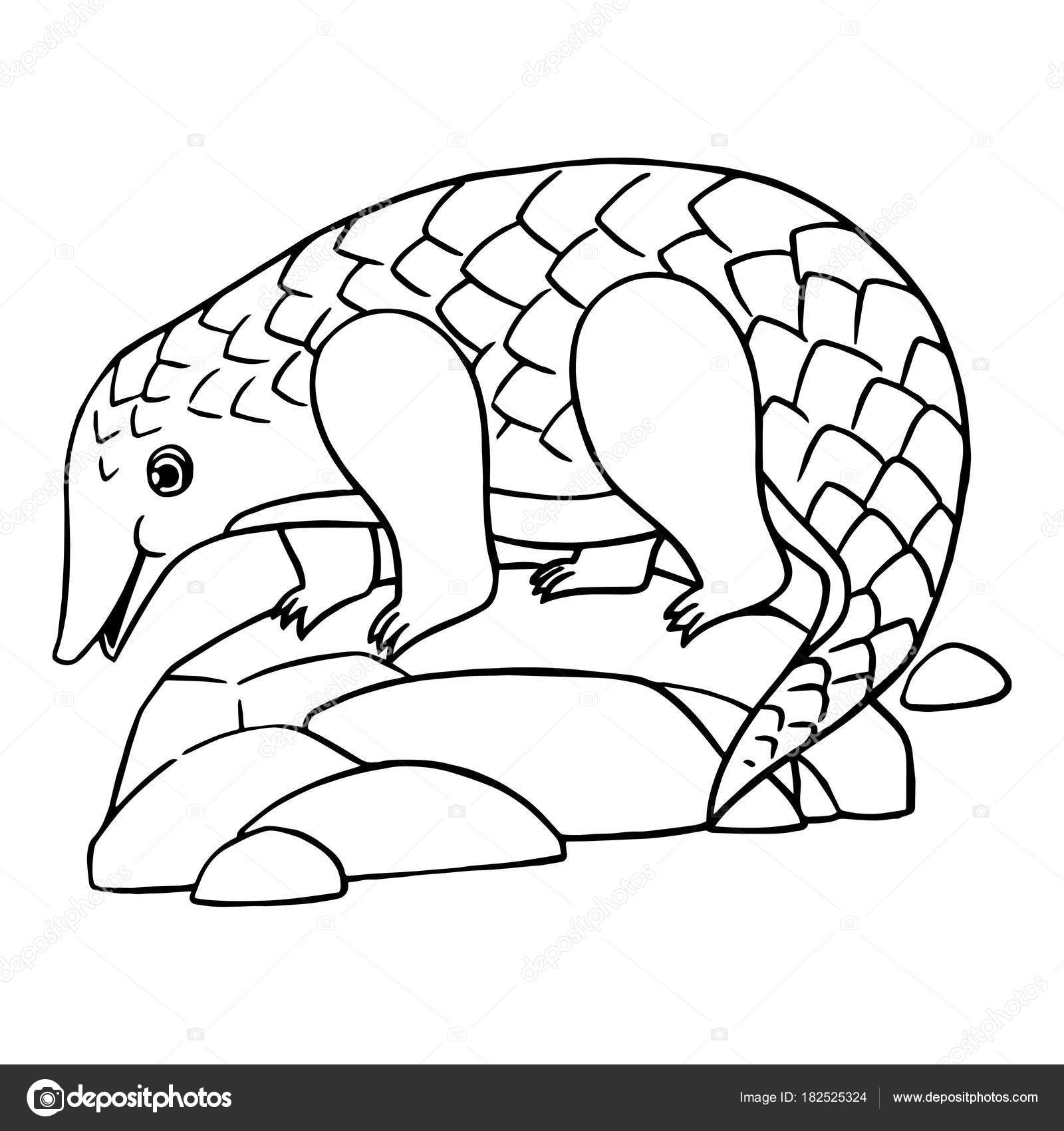 Cute Cartoon Pangolin White Background Childrens Prints Shirt Color Book Stock Vector C Foxynguyen 182525324
