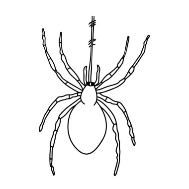 Sevimli çizgi örümcek çocuk için beyaz arka plan üzerinde yazdırır, t-shirt, renkli kitap, çocuklar için eğlenceli ve samimi karakter