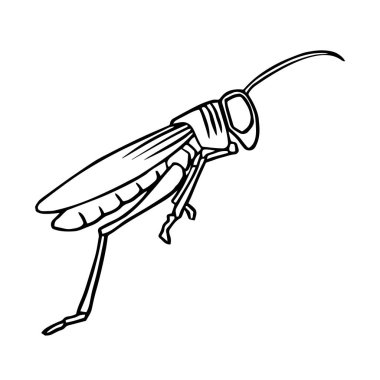 Sevimli çizgi çekirge çocuk için beyaz arka plan üzerinde yazdırır, t-shirt, renkli kitap, çocuklar için eğlenceli ve samimi karakter