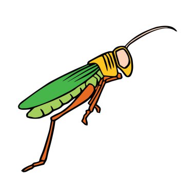 Sevimli çizgi çekirge çocuk için beyaz arka plan üzerinde yazdırır, t-shirt, renkli kitap, çocuklar için eğlenceli ve samimi karakter