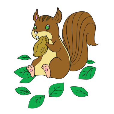 Sevimli çizgi sincap çocuk için beyaz arka plan üzerinde yazdırır, t-shirt, renkli kitap, çocuklar için eğlenceli ve samimi karakter