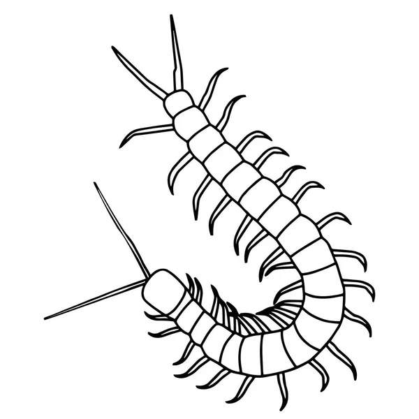 Милий Мультфільм Centipede Білому Тлі Дитячих Принтів Футболок Кольорової Книги — стоковий вектор