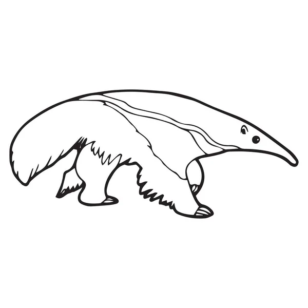 Bonito Desenho De Capivara Com Sinal Em Branco PNG , Feliz, Pose