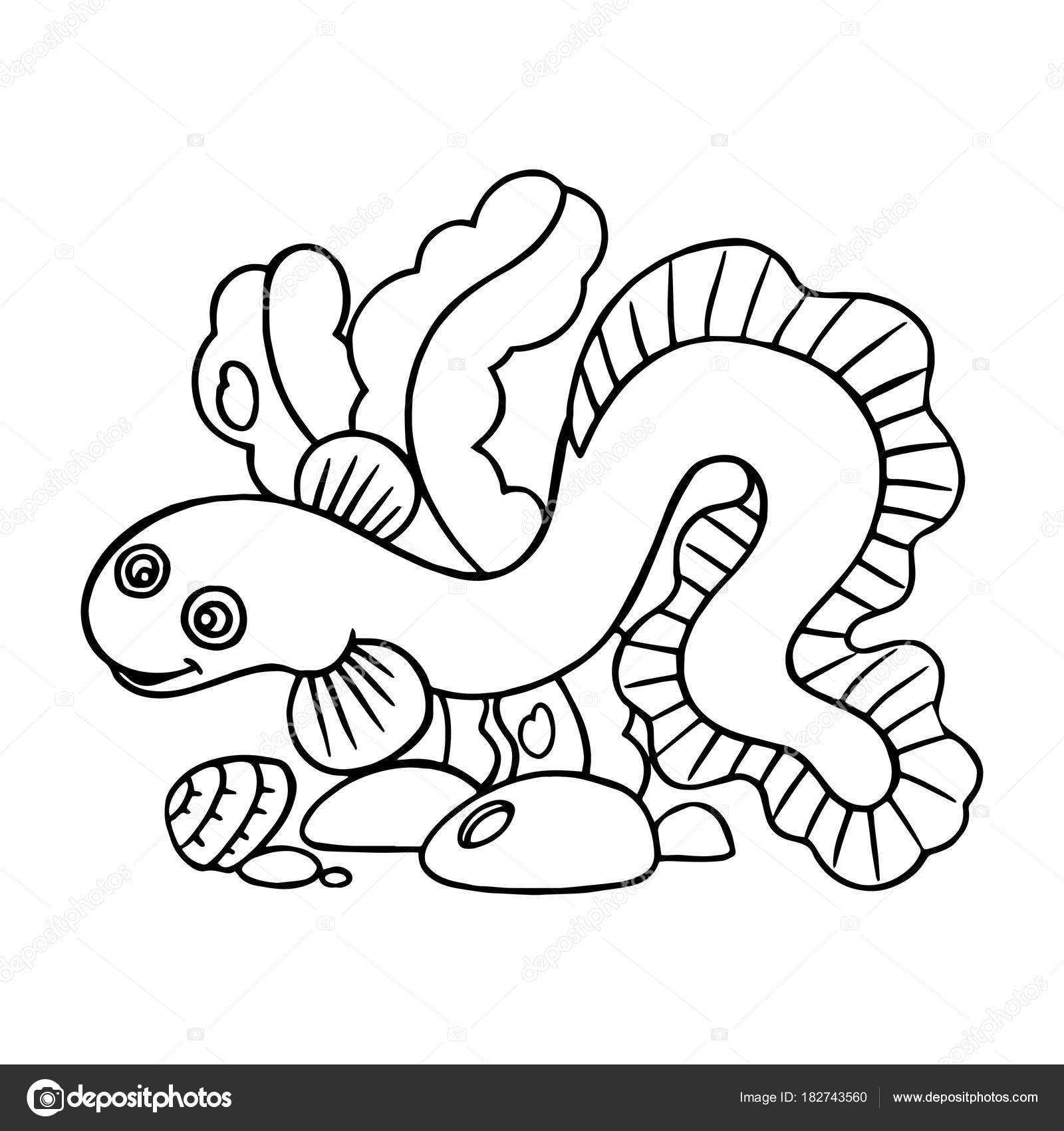 168 Electric Eel Vector Images Electric Eel Illustrations Page 2 Depositphotos