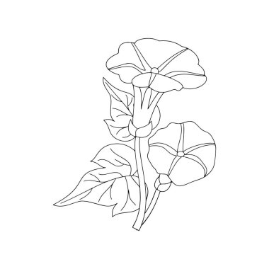 Sevimli çizgi çiçek çocuk için beyaz arka plan üzerinde yazdırır, t-shirt, renkli kitap, çocuklar için eğlenceli ve samimi karakter