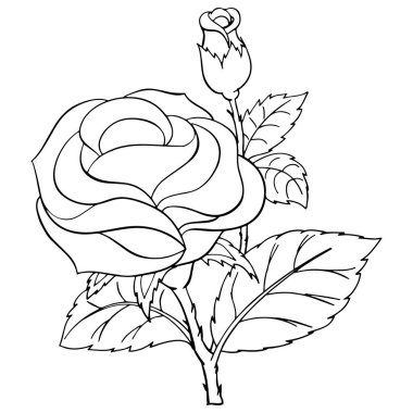 Sevimli çizgi film çocuklar için çocuk parmak, t-shirt, renkli kitap, komik ve samimi karakteri için beyaz zemin üzerine gül