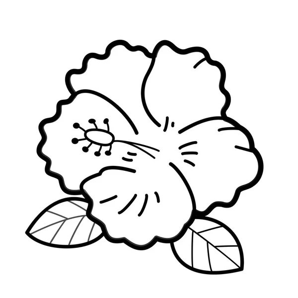 ดอกไม การ กบนพ นหล ขาว าหร บลายน อเด วละครตลกและเป ตรส — ภาพเวกเตอร์สต็อก