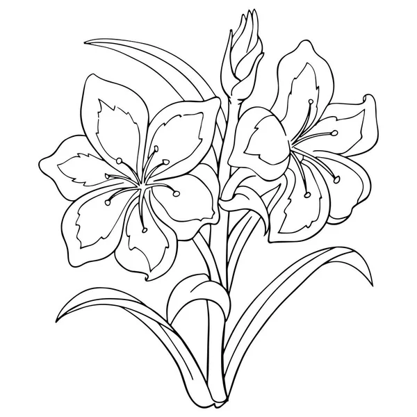 Jolie Fleur Dessin Animé Sur Fond Blanc Pour Les Imprimés Graphismes Vectoriels