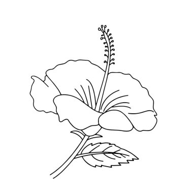 Sevimli çizgi çiçek çocuk için beyaz arka plan üzerinde yazdırır, t-shirt, renkli kitap, çocuklar için eğlenceli ve samimi karakter