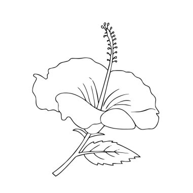 Sevimli çizgi çiçek çocuk için beyaz arka plan üzerinde yazdırır, t-shirt, renkli kitap, çocuklar için eğlenceli ve samimi karakter