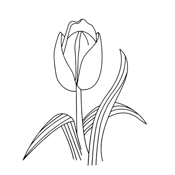 Tulip Kreskówka Białym Tle Dla Dzieci Drukuje Shirt Palety Kolorów — Wektor stockowy